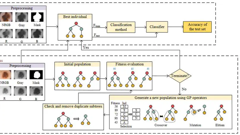 An Automated and Interpretable Computer-Aided Approach for Skin Cancer Diagnosis Using Genetic Programming